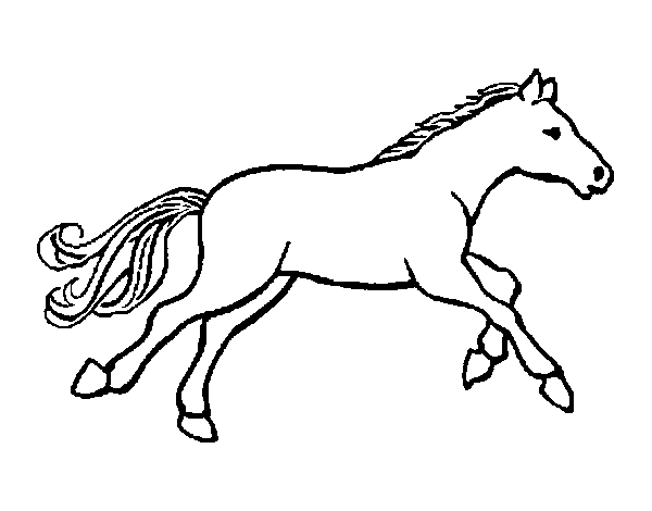 Little horse coloring page