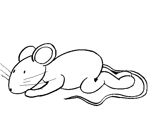 Little rat coloring page
