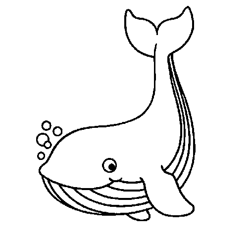 Little whale coloring page