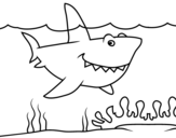 Marine shark coloring page