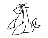 Mediterranean monk seal coloring page