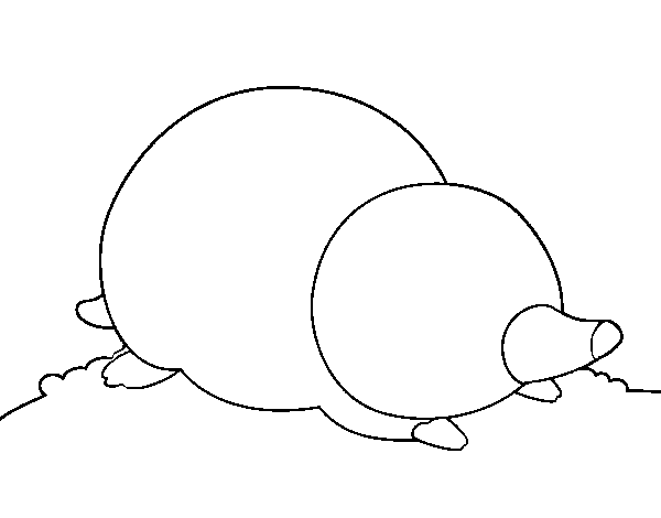 Mole lying down coloring page