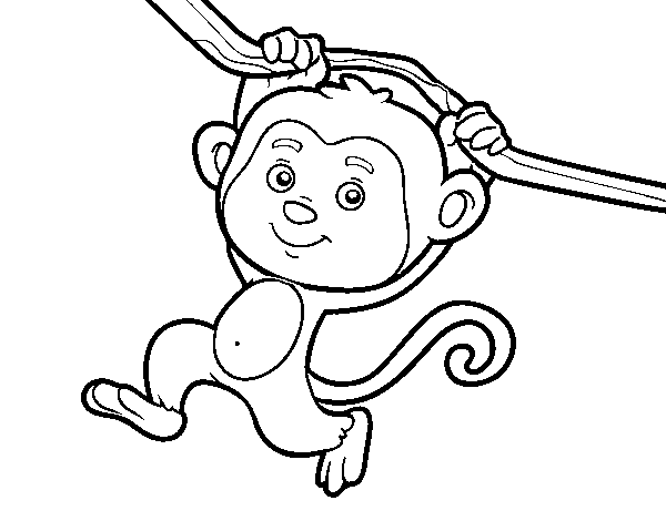 Monkey hanging from a branch coloring page