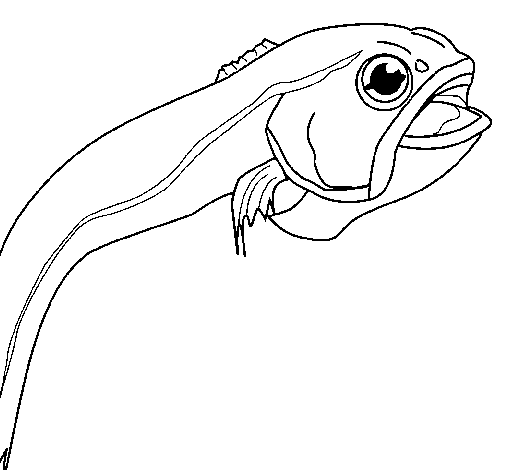 Monkfish coloring page