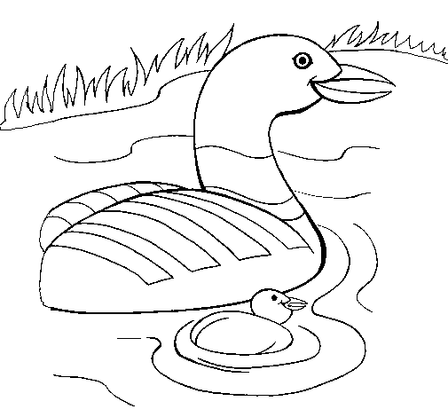 Mother goose and gosling coloring page