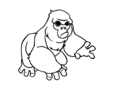 Mountain gorilla coloring page