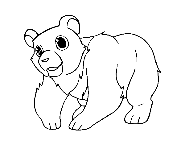 Mountain Grizzly Bear coloring page