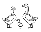 Oca family coloring page