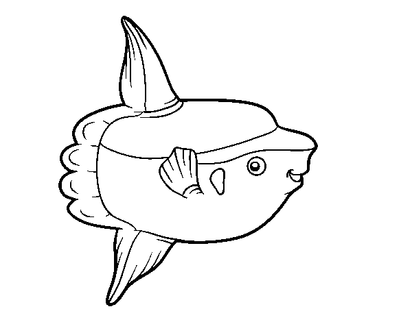Ocean sunfish coloring page