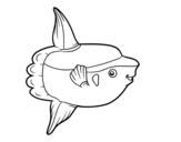 Dibujo de Ocean sunfish
