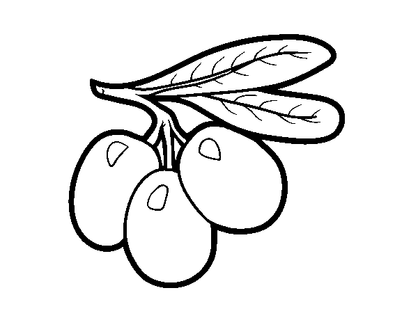 Olive Branch coloring page