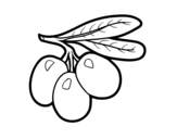 Olive Branch coloring page