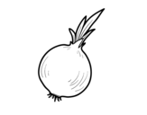 Organic onion coloring page