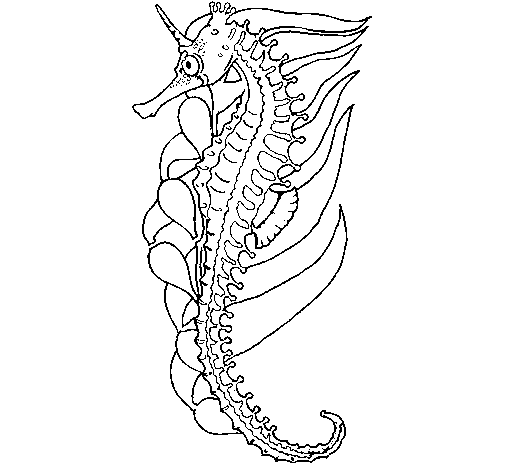 Oriental sea horse coloring page
