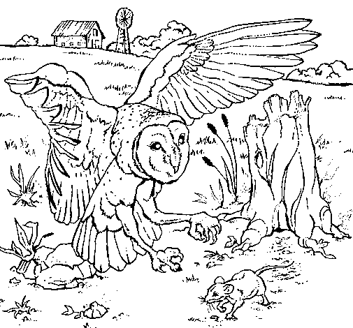 Owl hunting coloring page