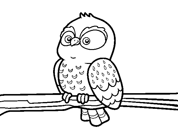 Owl on a branch coloring page