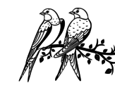 Pair of birds coloring page