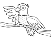 Parrot in freedom coloring page