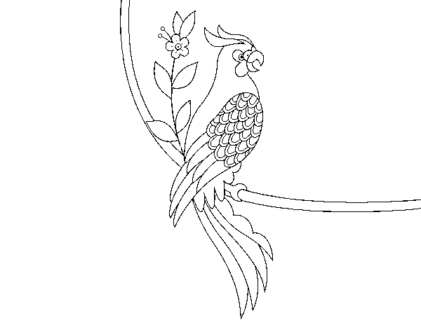 Parrot tattoo coloring page