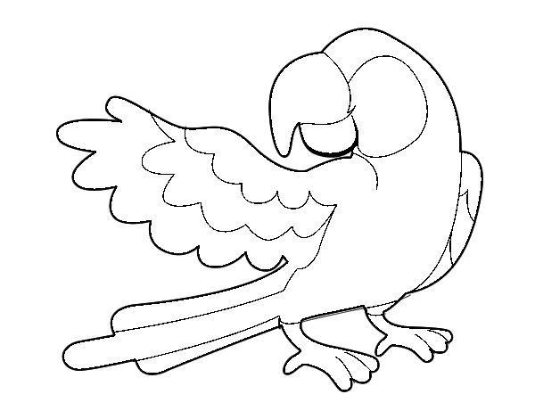 Parrot with wideout coloring page