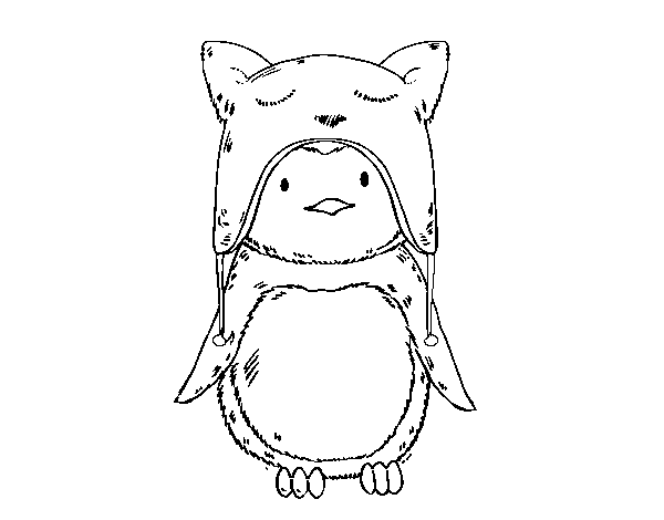 Penguin with funny cap coloring page