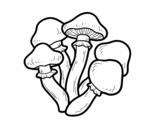 Poisonous mushrooms coloring page