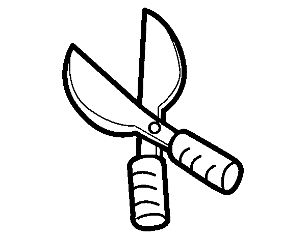 Pruning shears coloring page