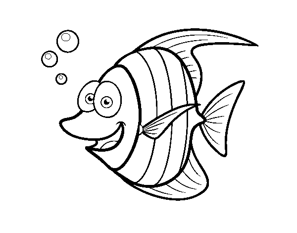 Pterophyllum coloring page