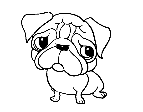 Pug coloring page