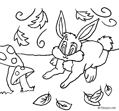 Rabbit 3 coloring page