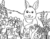 Rabbit in the country coloring page