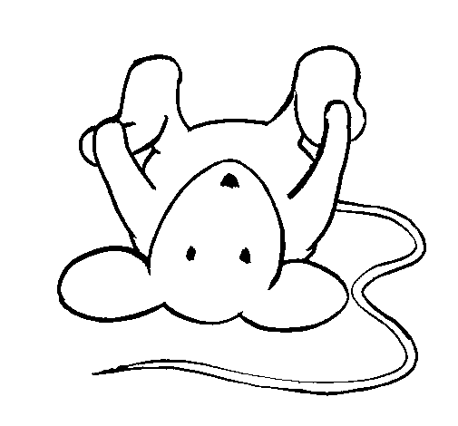 Rat lying down coloring page