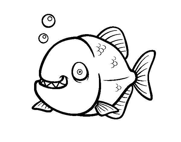 Red sea bream coloring page