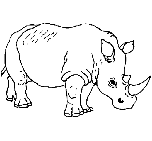 Rhinoceros 3 coloring page