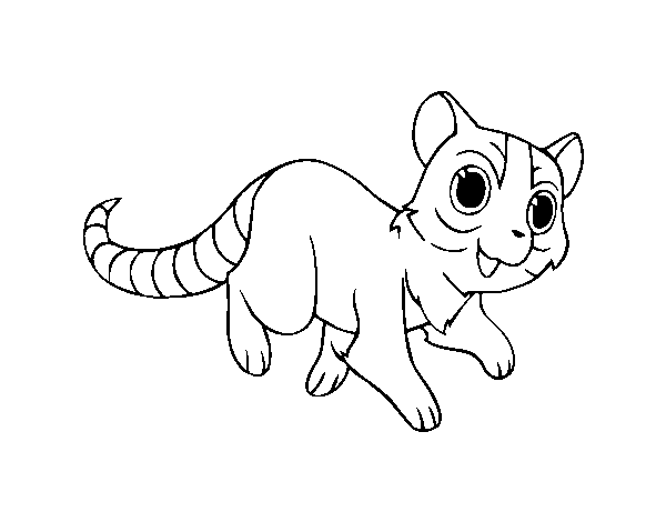 Ringtailed cat coloring page