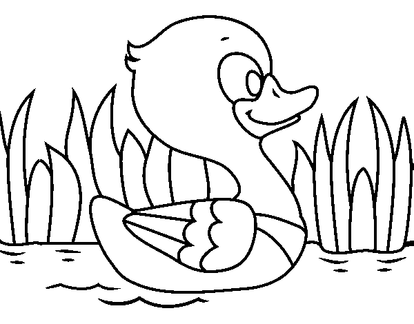 River duck coloring page