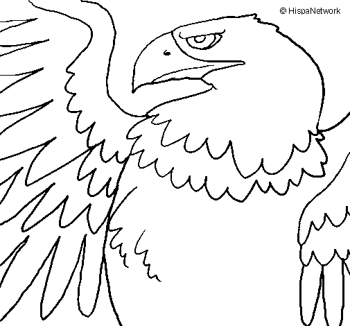 Roman Imperial Eagle coloring page