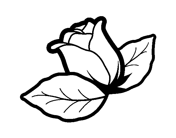 Rose with leaves coloring page