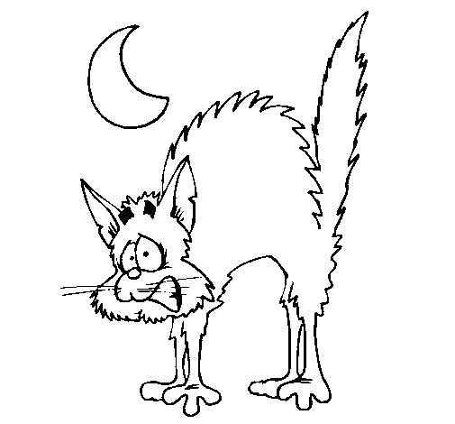 Scared cat  coloring page