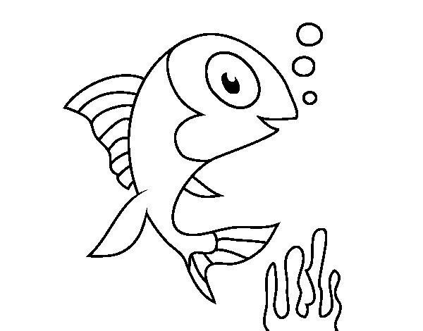Sea fish coloring page