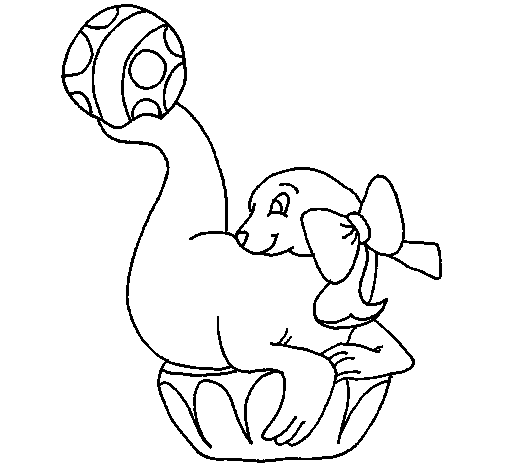 Seal playing ball coloring page