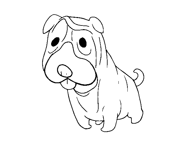 Shar Pei coloring page
