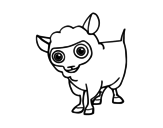 Sheep wool coloring page