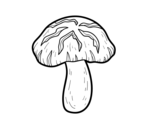 Shiitake mushroom coloring page