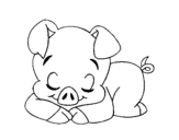 Sleeping little piglet coloring page
