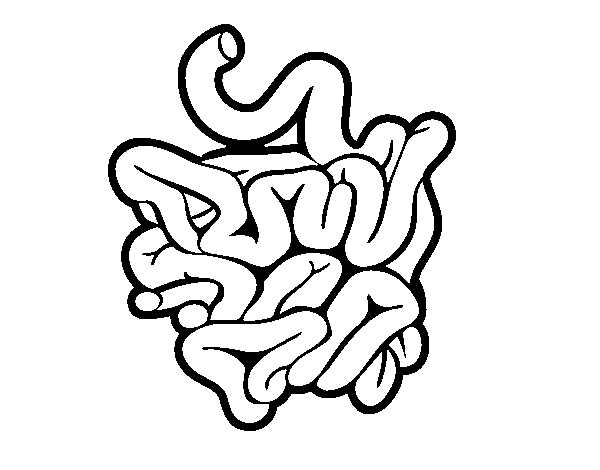 Small intestine coloring page