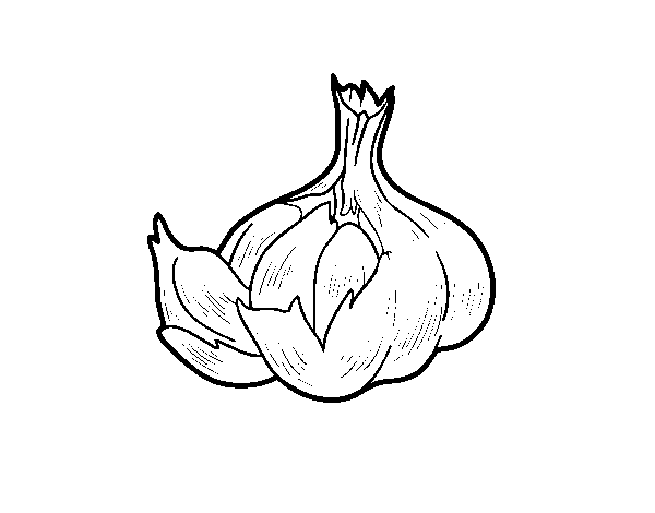 Some garlic coloring page