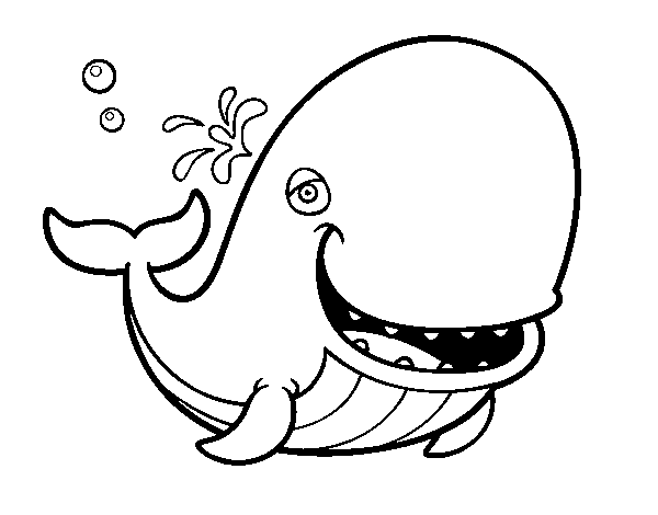 Sperm whale coloring page