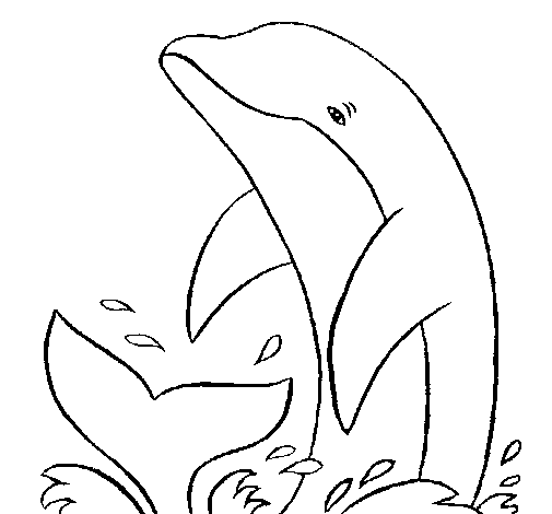 Splashing dolphin coloring page