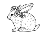Spring rabbit coloring page